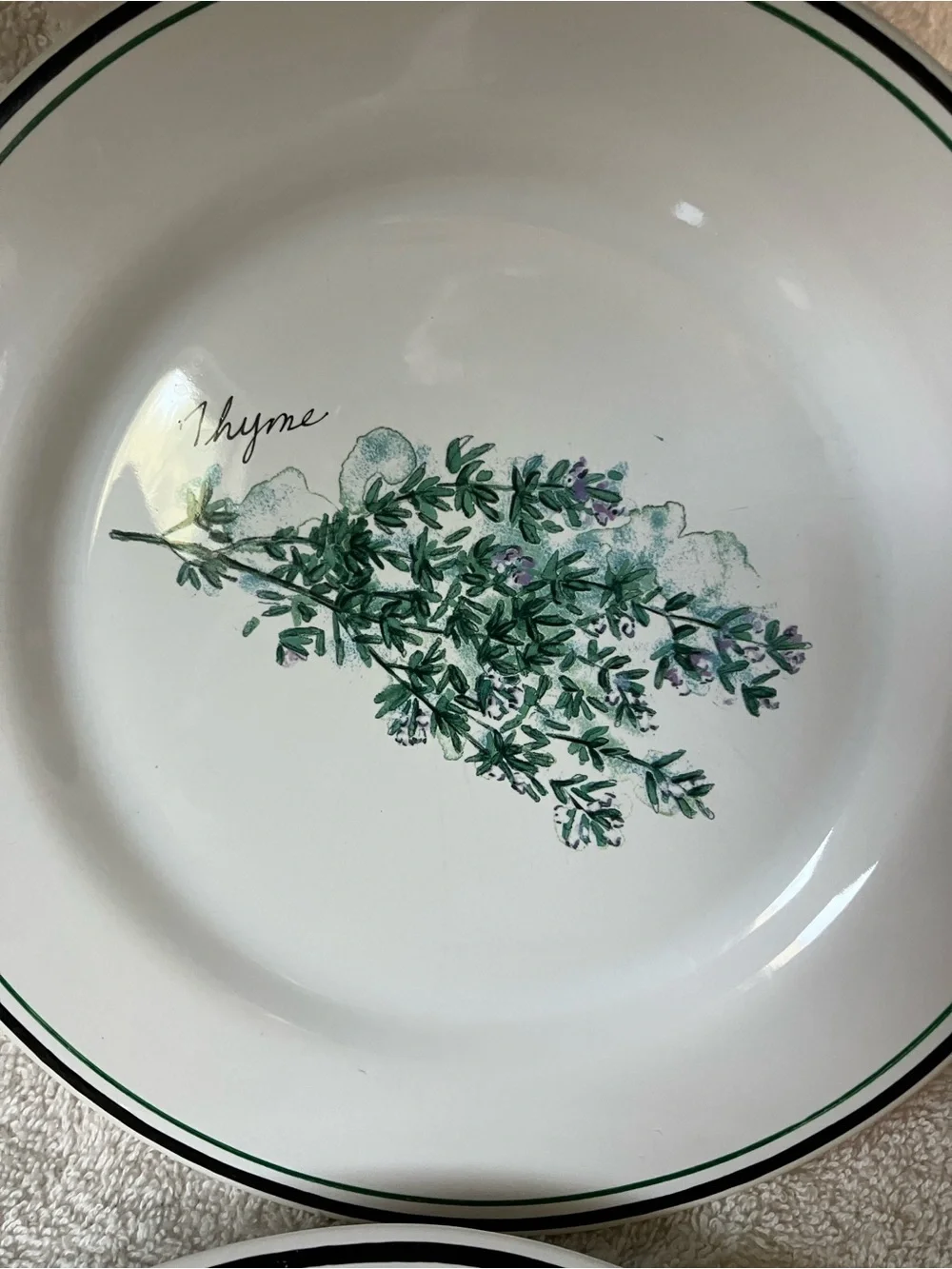 2 Williams Sonoma Ceramic Herb Salad Plates Green Accents 8 3/8” Cayenne Thyme
